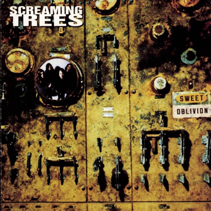 Screaming Trees Dollar Bill Lyrics Musixmatch