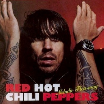 Lirik Lagu Red Hot Chili Peppers - Search & Destroy ...