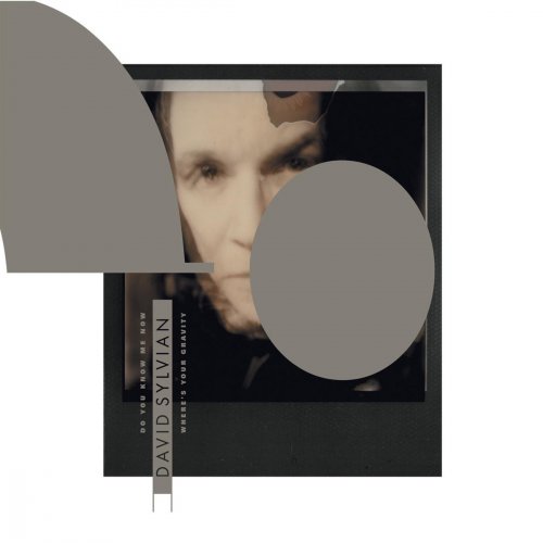 David Sylvian - Do You Know Me Now? 歌詞 | Musixmatch
