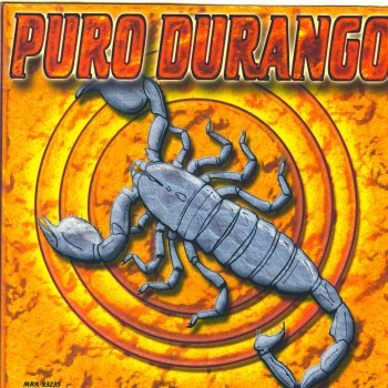 Letra de Pasito Duranguense de Puro Durango | Musixmatch