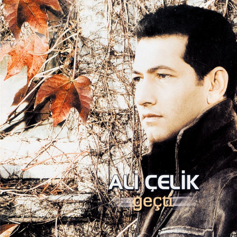 Ali Celik Gele Gide Lyrics Musixmatch