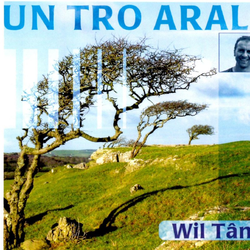 Wil Tan Pwy Fydd Yma Mewn Can Mlynedd Lyrics Musixmatch Provided to hrvid by the state51 conspiracy pwy fydd yma 'mhen can mlynedd · elgan llyr thomas llwybrau'n can ℗ 2012. musixmatch