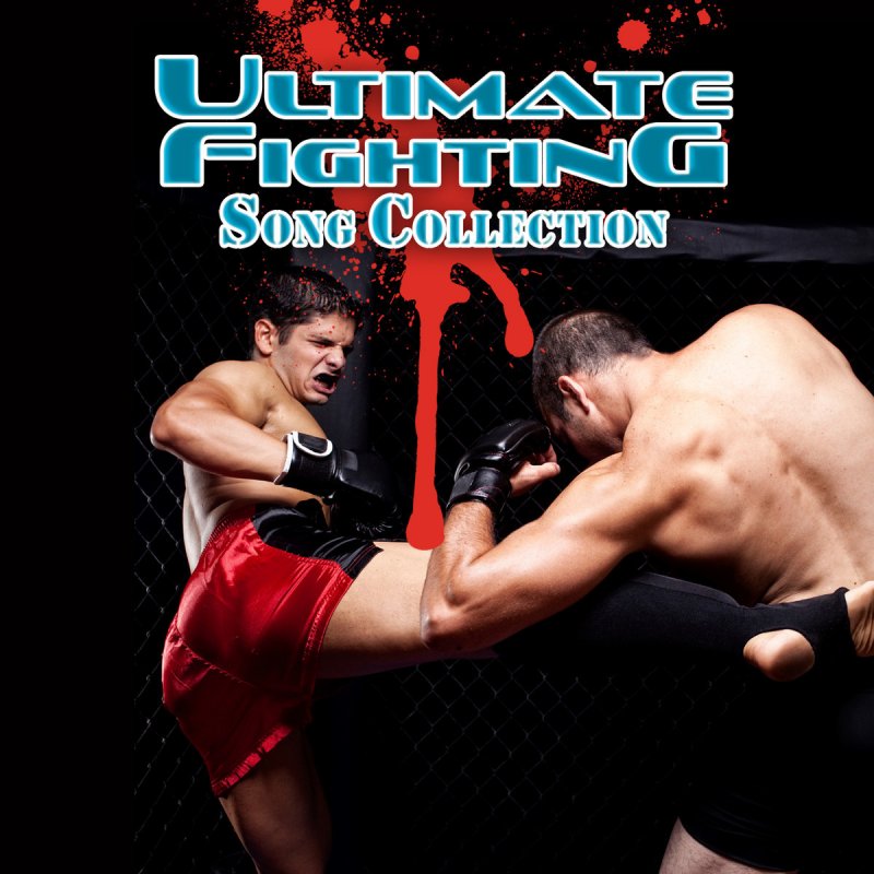 Letra de Metalingus (Wrestling Theme song) de Ultimate Fight Club Players M...