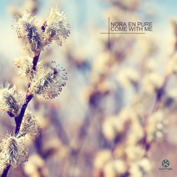 Come With Me (Remixes)