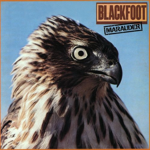 Blackfoot - Dry County Lyrics