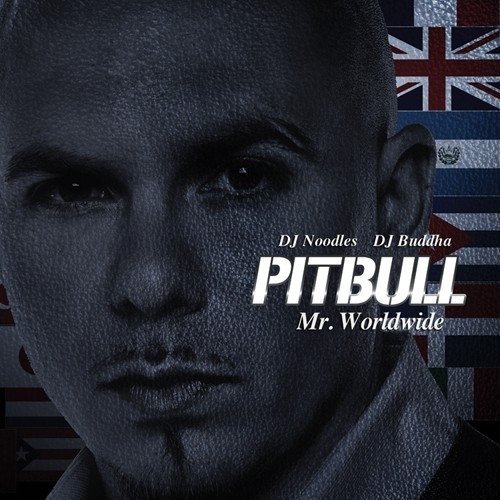 https www musixmatch com lyrics pitbull feat flo rida and lil jon go crazy