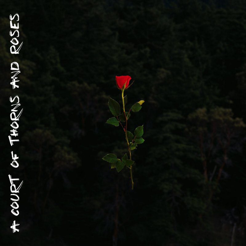 Letra de A Court of Thorns and Roses de Cossmo Musixmatch