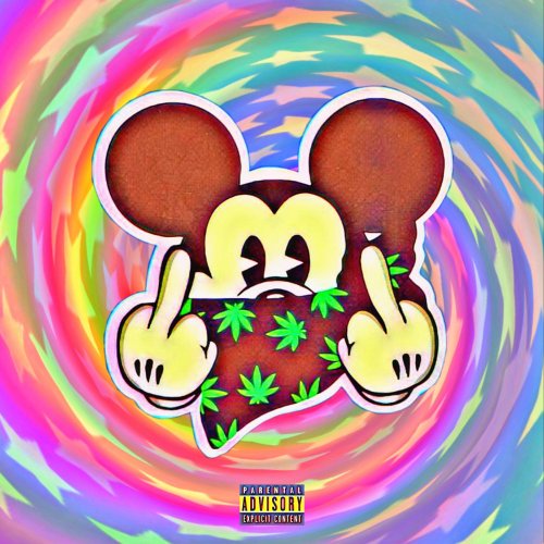 Mickey Mouse Trap House