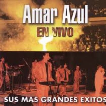 Sus Mas Grandes Exitos (En Vivo)