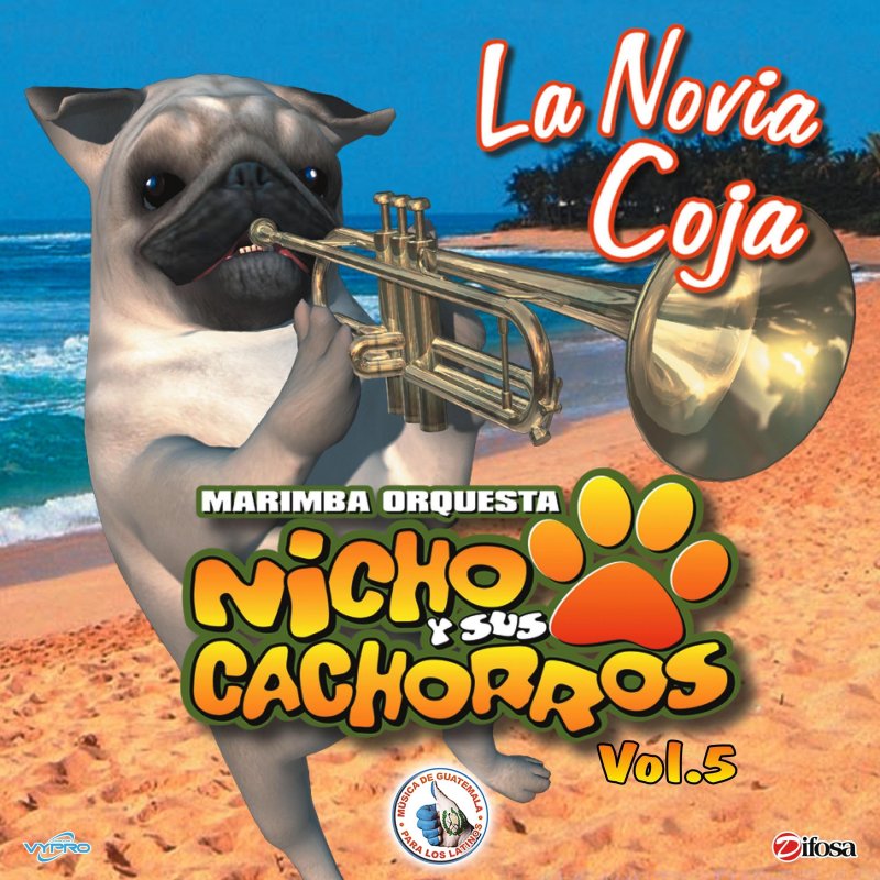 Marimba Orquesta Nicho y Sus Cachorros Jacarandosa Lyrics Musixmatch