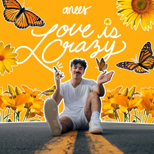 Love Is Crazy - Single