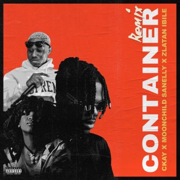 Container (Remix) [feat. Moonchild Sanelly & Zlatan Ibile] - Single