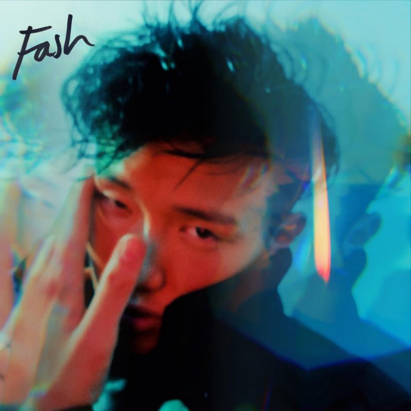 Fash Fake Nice Songtext Musixmatch