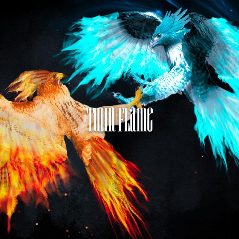 Redd Kite Twin Flame Lyrics Musixmatch