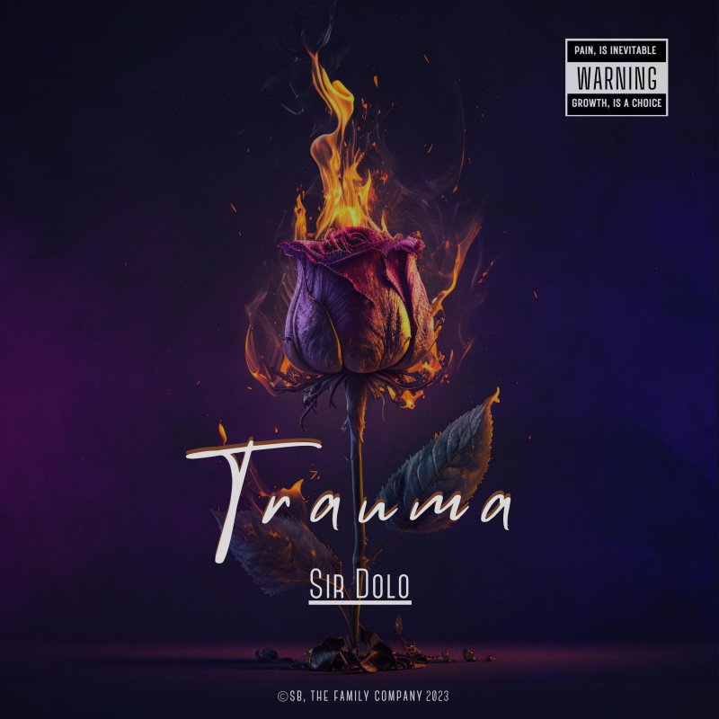 Sir Dolo Zillow Lyrics Musixmatch