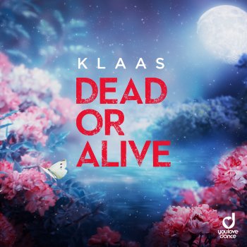 Testi Dead Or Alive - Single