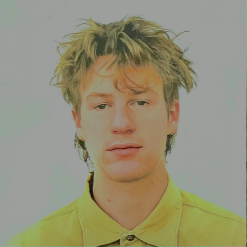 Malcolm Todd Lovebird Lyrics Musixmatch