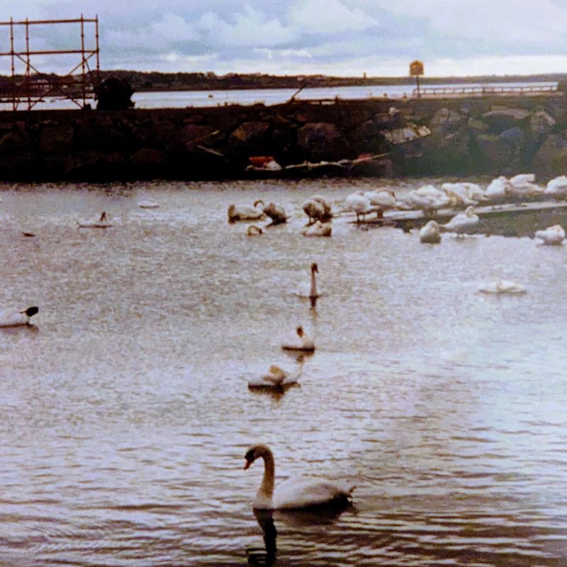 Chilblains Gasoline Rainbows and Broken Honey Jars Lyrics Musixmatch