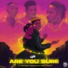 Are You Sure (feat. EMO Grae, Naira Marley & Zinoleesky) lyrics – album cover