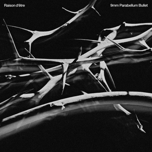9mm Parabellum Bullet - レーゾン・デートル Lyrics | Musixmatch