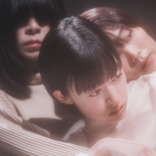 海外並行輸入正規品 Hitsujibungaku - 花びら lyrics | Musixmatch その他