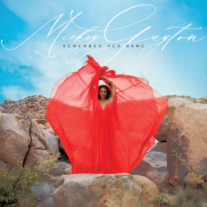 Mickey guyton better than you left me fly higher version lyrics