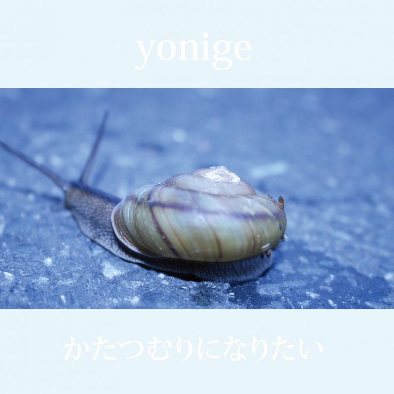 Yonige Avocado Lyrics Musixmatch