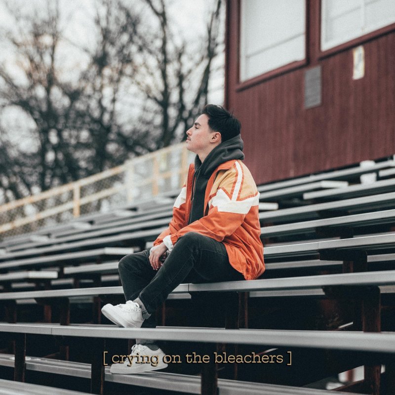 DANE crying on the bleachers Lyrics Musixmatch