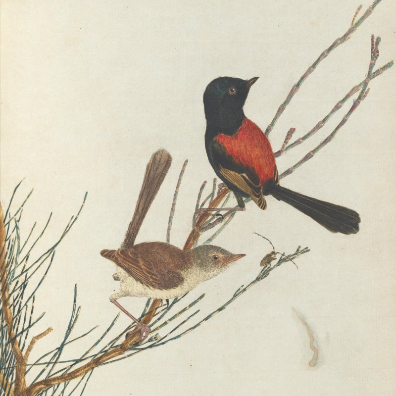 Public Transit Weights Too Heavy Lyrics Musixmatch