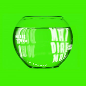 i testi delle canzoni dell album la tua futura ex moglie di willie peyote mtv