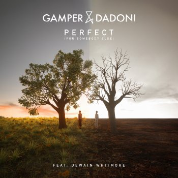 Perfect (For Somebody Else) [feat. Dewain Whitmore] - Single