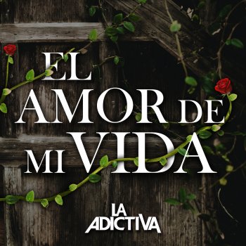 El Amor de Mi Vida