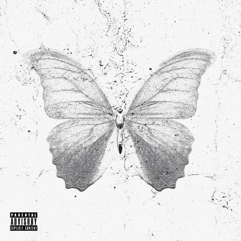 Afonso Dordio - Butterfly Effect Lyrics | Musixmatch