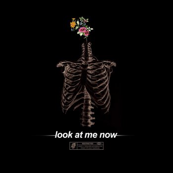 Look at Me Now - Single