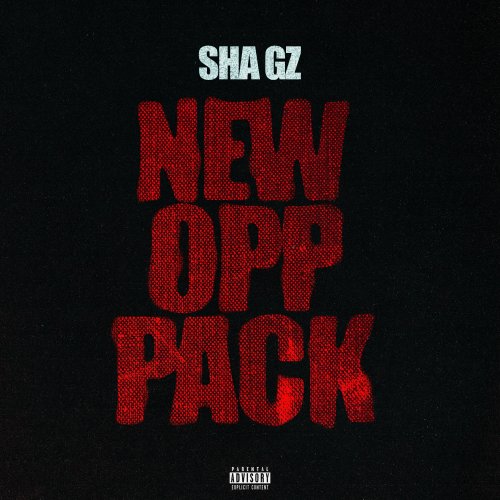 Sha Gz, EvroBeats - New Opp - Sped Up lyrics | Musixmatch