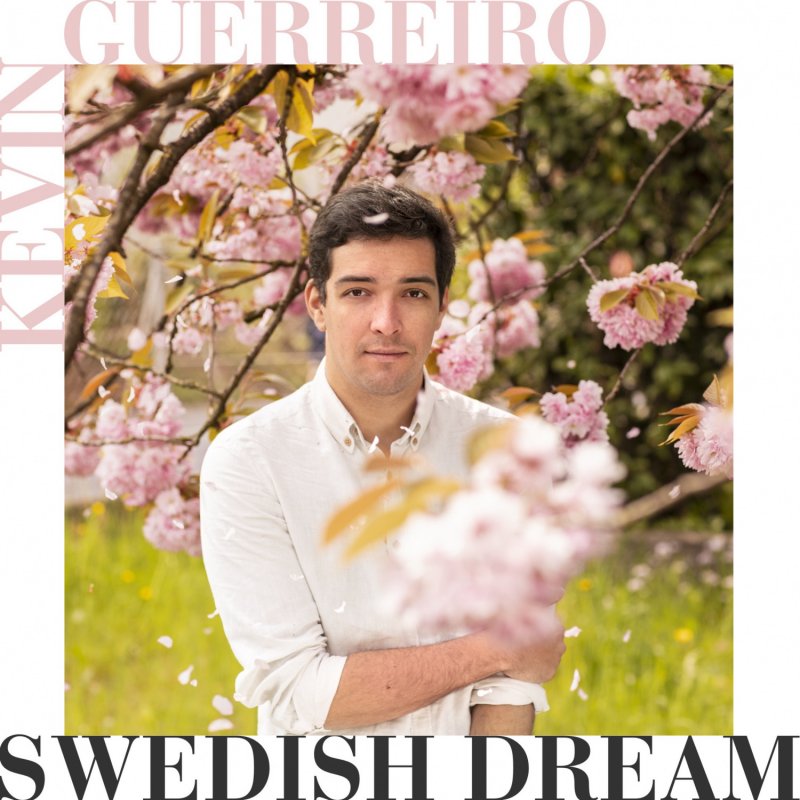 Dreams Lyrics -  Sweden