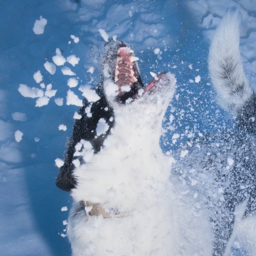 Stolen Jars lyrics Musixmatch