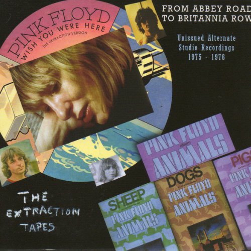Pink Floyd Shine On You Crazy Diamond Parts 1 9 Lyrics Musixmatch