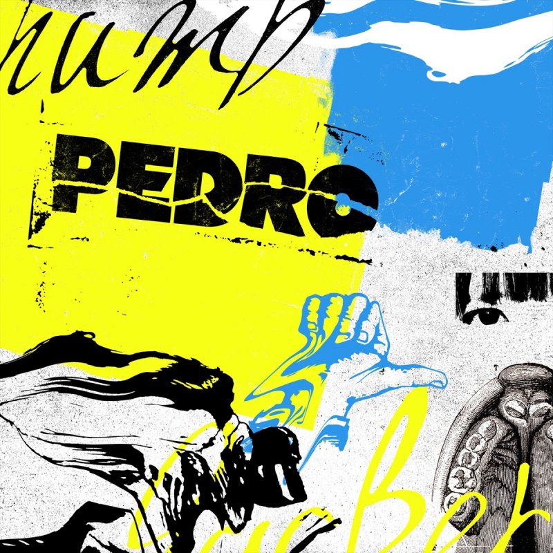 Pedro Stupid Hero Lyrics Musixmatch