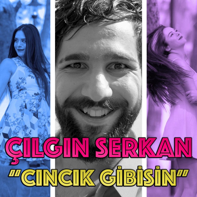Cilgin Serkan Cincik Gibisin Lyrics Musixmatch