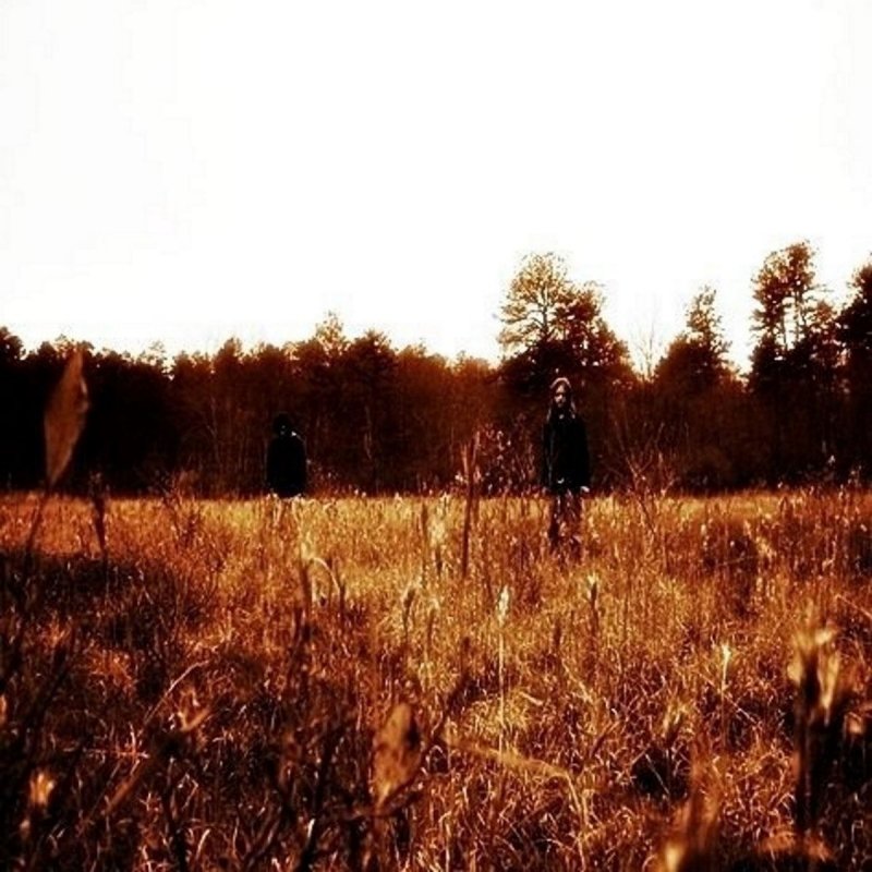 Senium Drone Lyrics Musixmatch