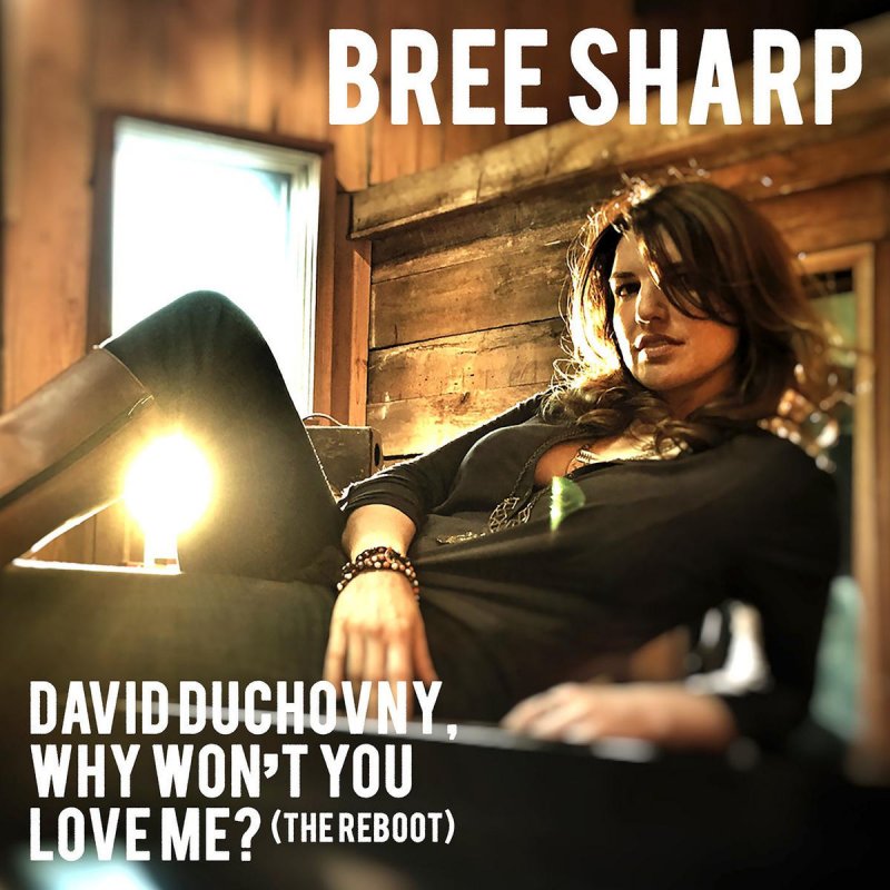 Bree Sharp David Duchovny Why Won T You Love Me The Reboot Lyrics Musixmatch