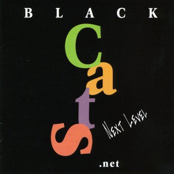 Black Cats Lyrics Lyricsalive