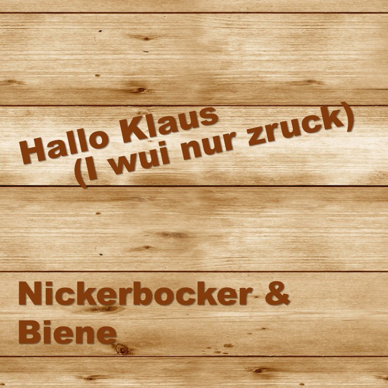 I Wui Nur Zruck Zu Dir