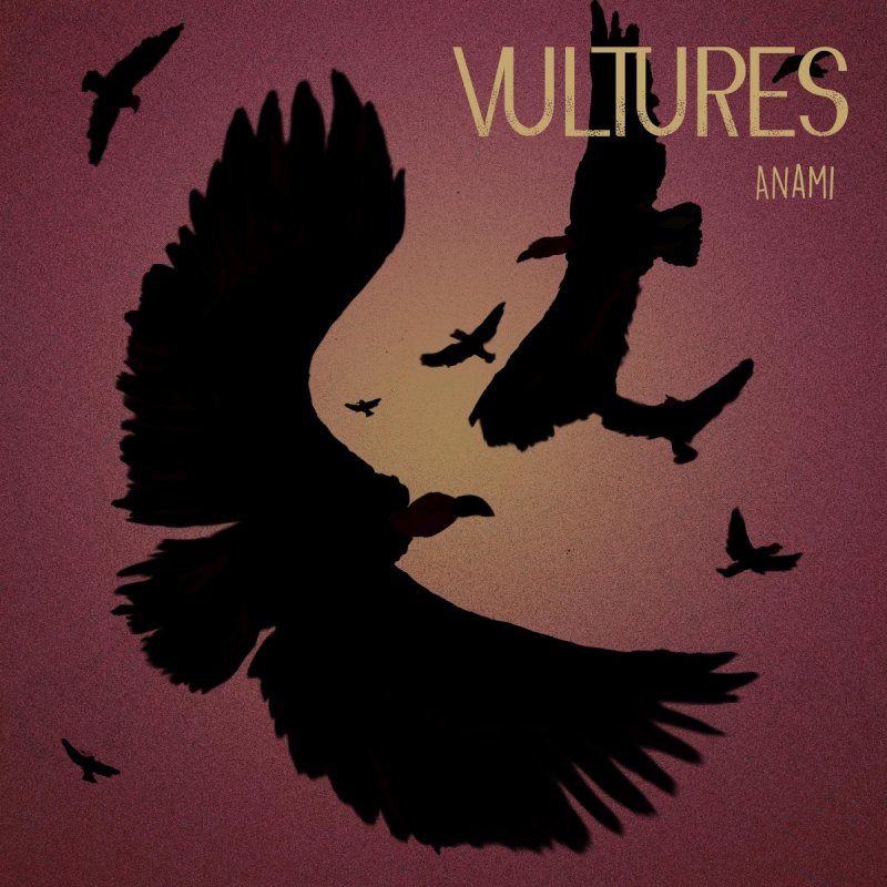Vultures album. Vultures альбом. Обложка альбома Vultures. Логотип альбома Vultures. Vultures 1 обложка.