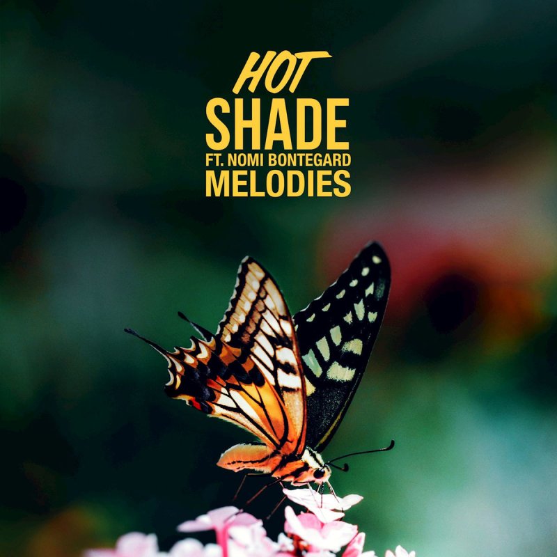 Hot Shade Feat Nomi Bontegard Melodies の歌詞 Musixmatch