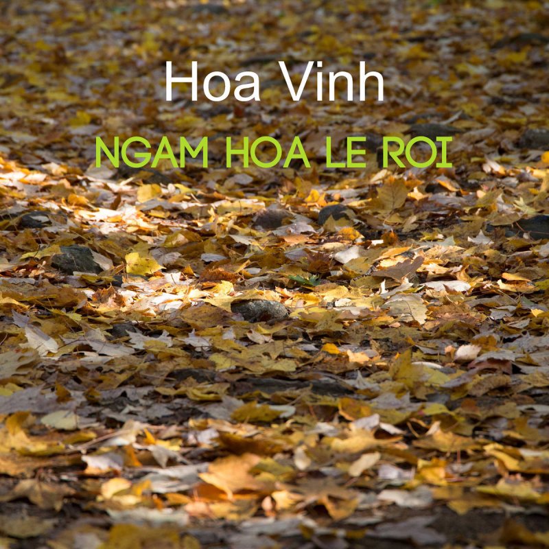 Hoa Vinh Canh Hồng Phai Lyrics Musixmatch