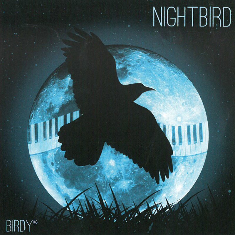 Birdy Monkey Saloon Lyrics Musixmatch