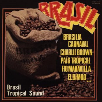 Jorge Ben Jor - País Tropical Letra | Musixmatch