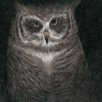 I Hear An Owl By Sekai No Owari Album Lyrics Musixmatch I Hear An Owl By Sekai No Owari Album Lyrics Musixmatch